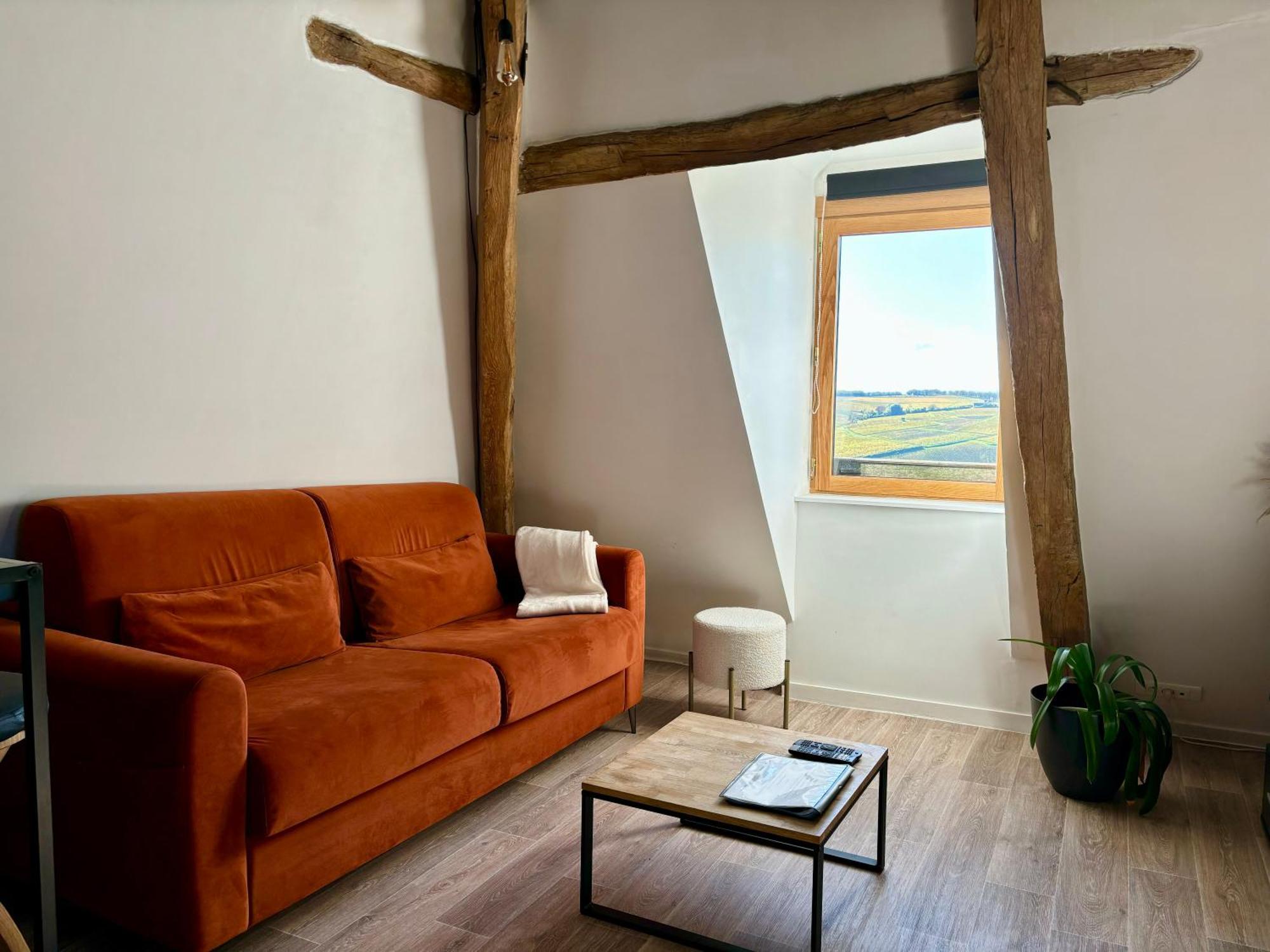 Appartement Cosy Vue Sur Le Vignoble Sancerre Extérieur photo